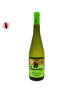 Vin Blanc Muscadet (75cl) | NOUS
