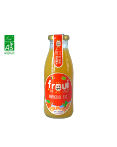 Infusion Glacée Orangeade BIO (25cl) | FROUI