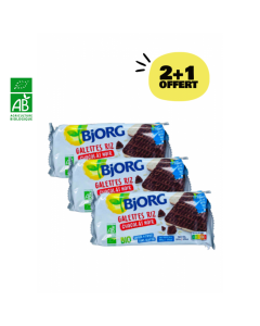 Lot Galette Riz Chocolat Noir BIO (3*100gr) | BJORG