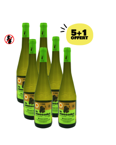 Lot Vin Blanc Muscadet (6*75cl) | NOUS