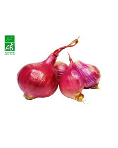 Oignons roses BIO (250gr) | FRANCE