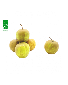 Pommes Bertane BIO (500g) | FRANCE