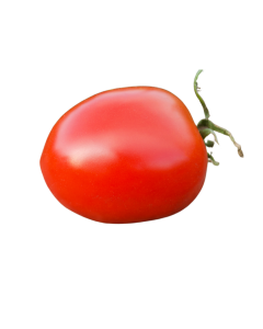 Tomates Allongées (500gr) | FRANCE