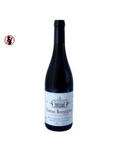 Vin Rouge AOP Côteaux Bourguignon 2020 12,5° (75cl) | CAVE REINE BLANCHE