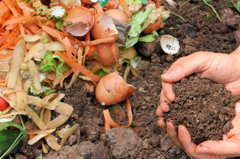 Gaspillage alimentaire à l'étape de la production agricole