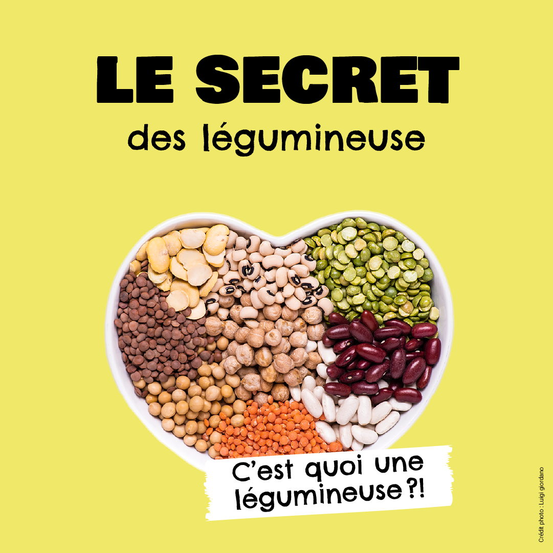 Le Secret des Légumineuses 🍛🫘