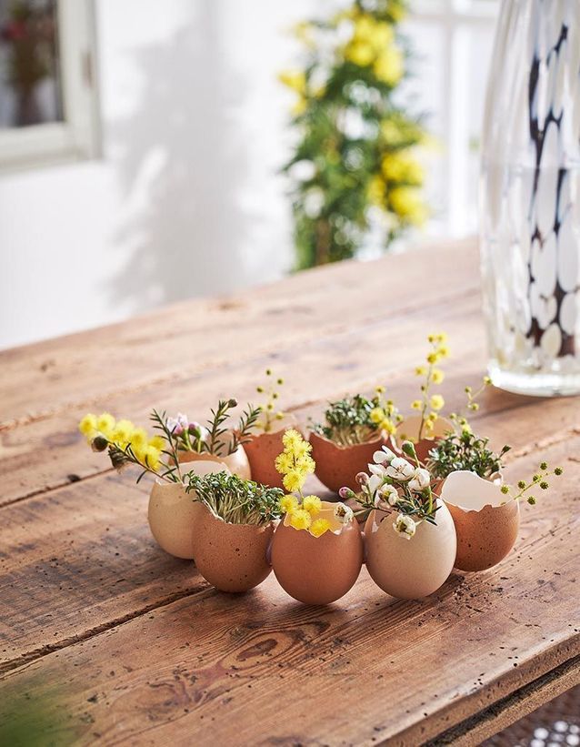Pâques : ne jetez pas vos coquilles, recyclez-les ! 🥚