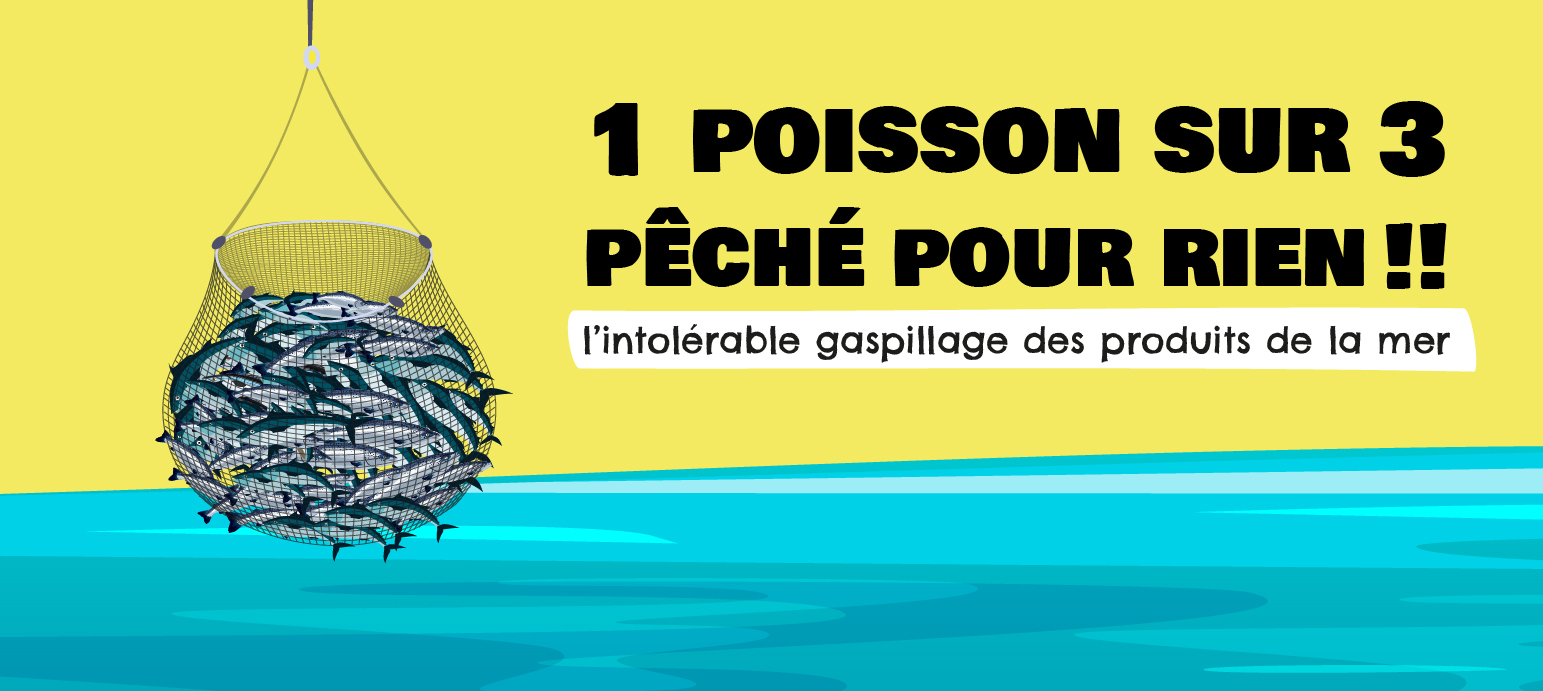 Plan de travail 4